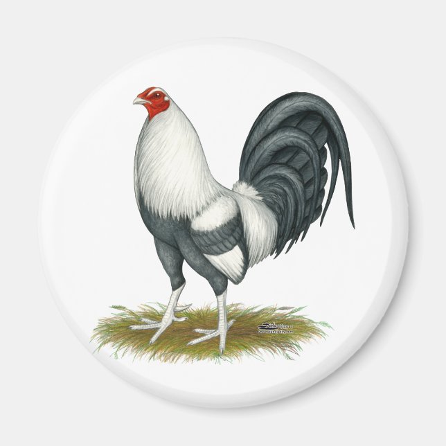 Imán Juego americano Silver Blue Gamecock (Frente)