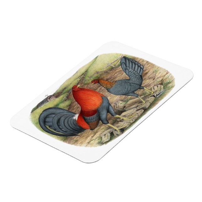 Imán Juegos Azules Rojos Americanos (Lado Izquierdo)