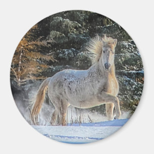 Imán Jugador caballo blanco en foto de las nevadas de i