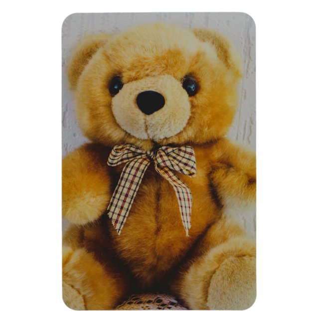 Imán Juguete relleno de oso de peluche (Vertical)