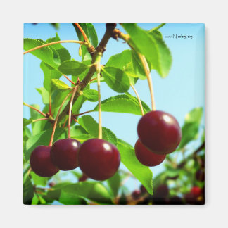 Imán Juguetes de verano - cerezas rojas
