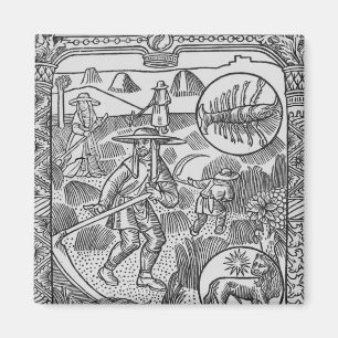 Imán Julio, haymaking, cáncer