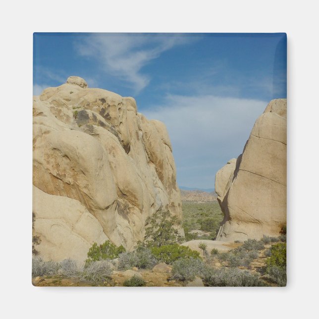 Imán Jumbo Rocks en el Parque Nacional Joshua Tree (Frente)