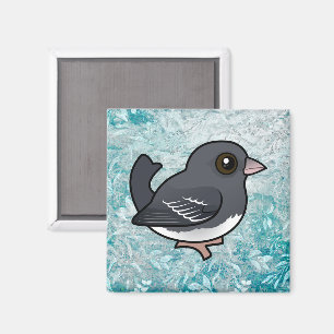 Imán Junco de ojos oscuros (ala blanca)