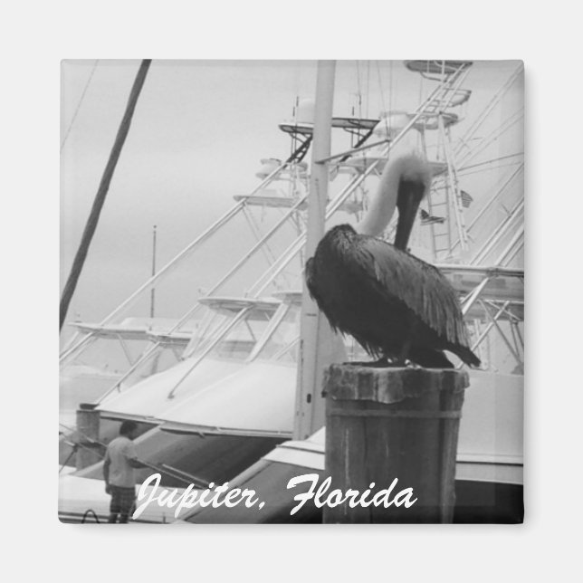 Imán Júpiter, Florida Boats & Pelican photo Magnet (Frente)