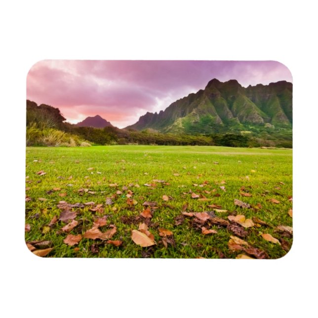 Imán Jurásico Sunset (Horizontal)