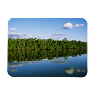 Imán Juruena, Brasil. Orilla del río boscosa reflejada