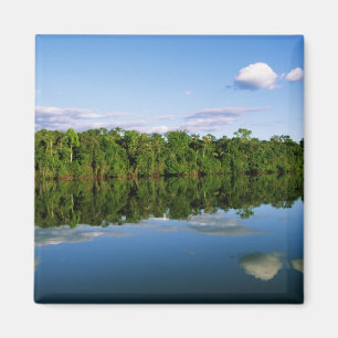 Imán Juruena, Brasil. Orilla del río boscosa reflejada