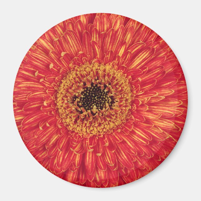 Imán ¡KA-Bloom! (Frente)