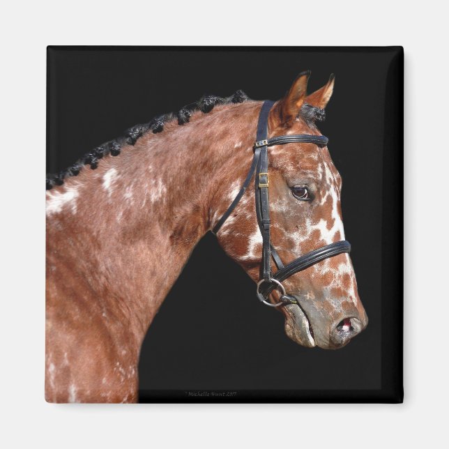 Imán Kabstrupper Stallion Horse Magnet (Frente)