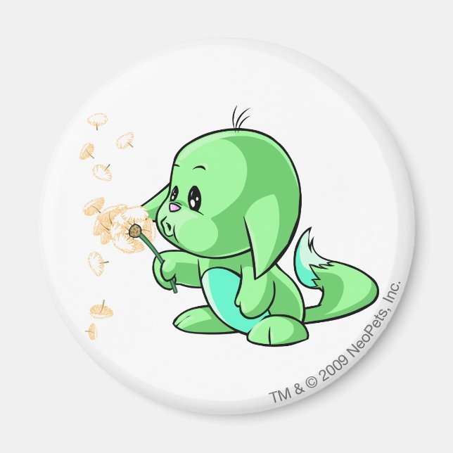 Imán Kacheek Green (Frente)
