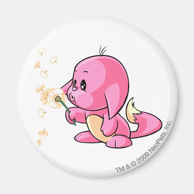 Imán Kacheek Pink (Frente)