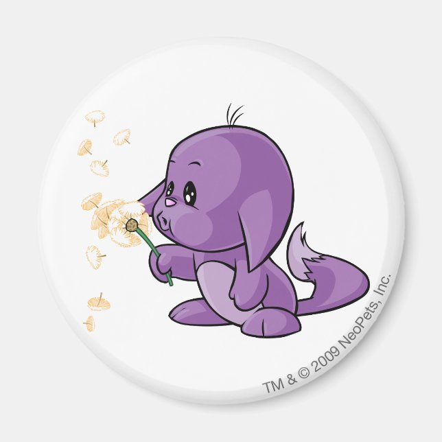Imán Kacheek Purple (Frente)