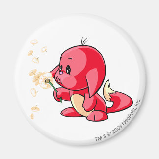 Imán Kacheek Red