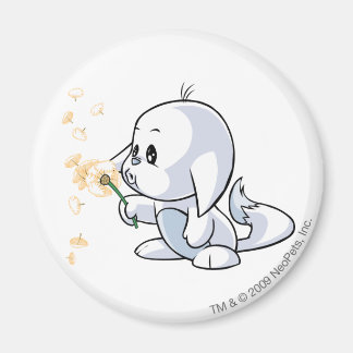 Imán Kacheek White