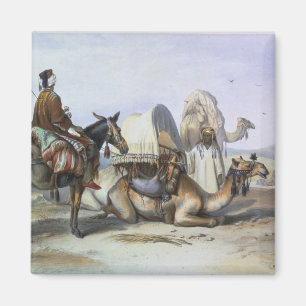 Imán Kafila con un camello que lleva un Hodesh,