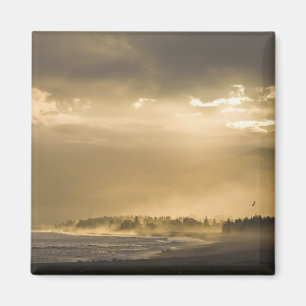 Imán Kaikoura, Nueva Zelanda. Kaikoura es conocida por