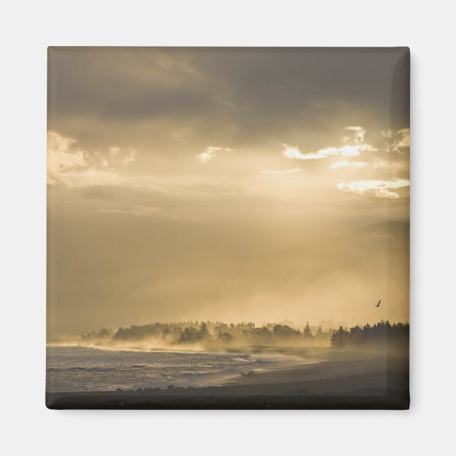 Imán Kaikoura, Nueva Zelanda. Kaikoura es conocida por (Frente)