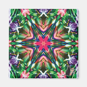 Imán Kaleidoscopio Picante