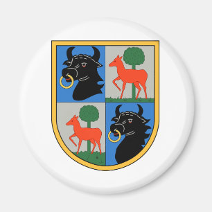 Imán Kampfgeschwader 1 Hindenburg