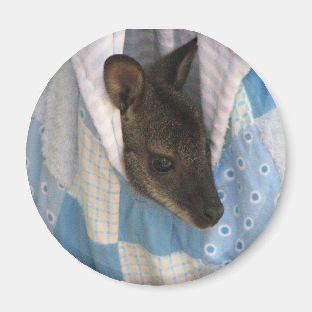 Imán Kangaroo (Frente)