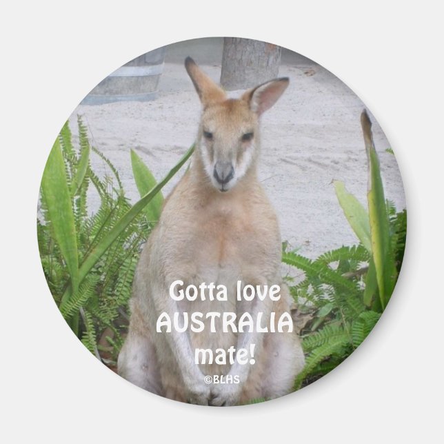 Imán Kangaroo Gotta loveAUSTRALIAmate!, ©BLHS (Frente)