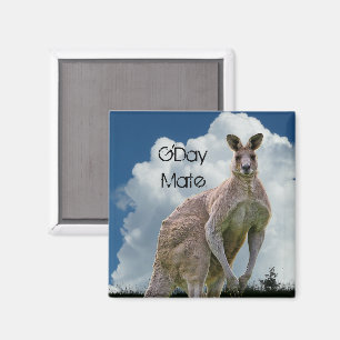 Imán Kangaroo Magnet