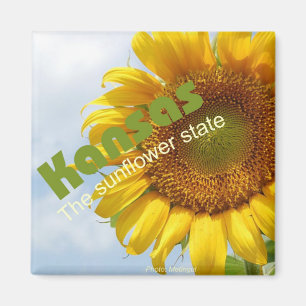 Imán Kansas USA Sunflower State Souvenir Fridge Magnet