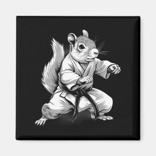 Imán Karate Ardilla Kickboxing Taekwondo MMA Ardilla