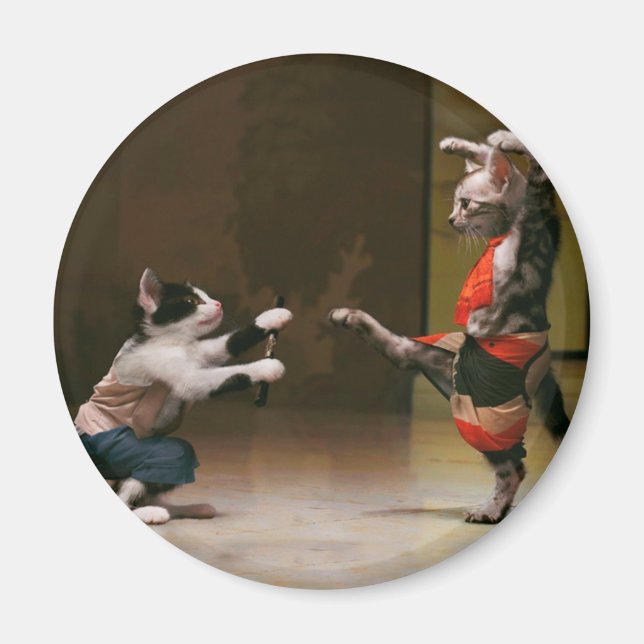 Imán Karate cats (Frente)