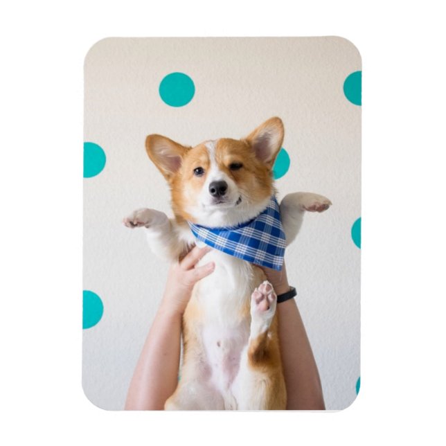 Imán karate corgi imnet (Vertical)