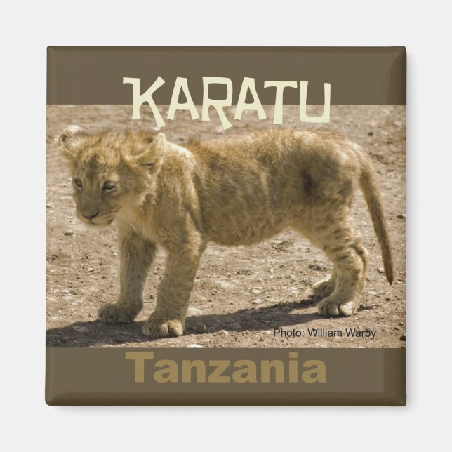 Imán Karatu Tanzania África Fridge Magnet Lion Cub (Frente)