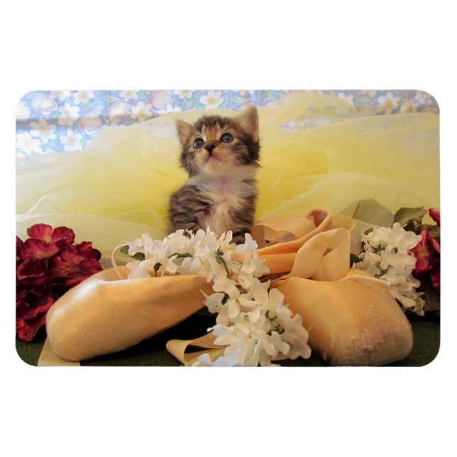 Imán Kate The Ballerina Kitten - Cat Magnet (Horizontal)