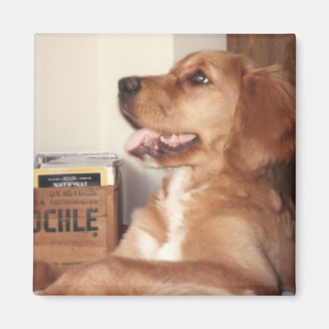 Imán Katie (Frente)