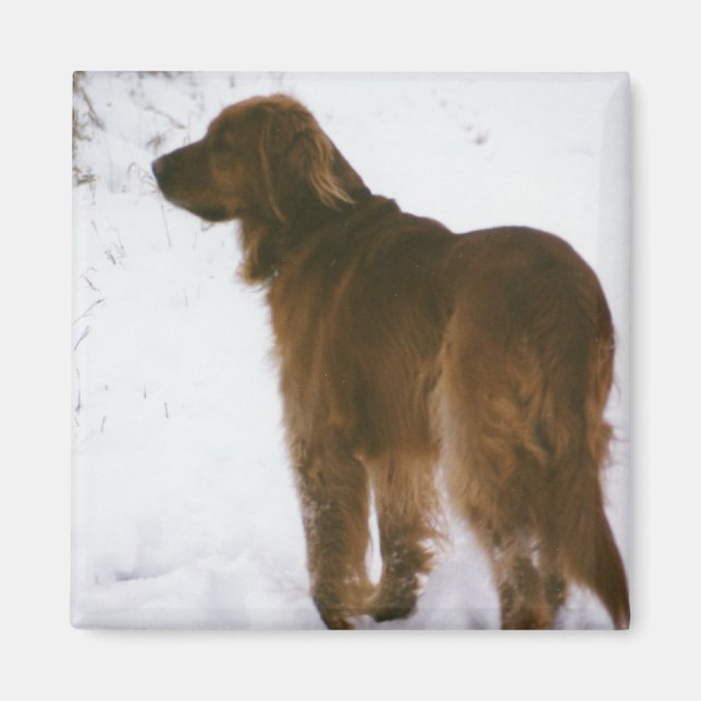 Imán Katie Afuera (Frente)