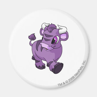 Imán Kau Purple