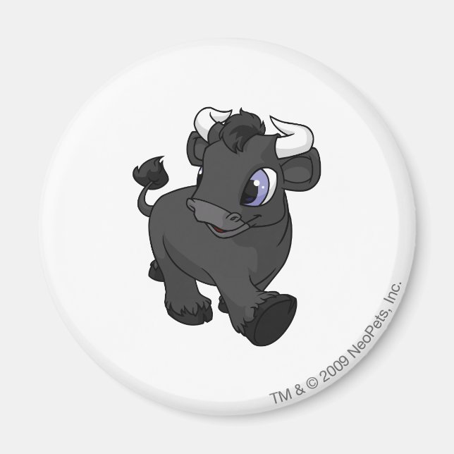 Imán Kau Shadow (Frente)