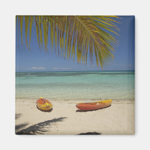 Imán Kayaks en la playa, Plantation Island Resort