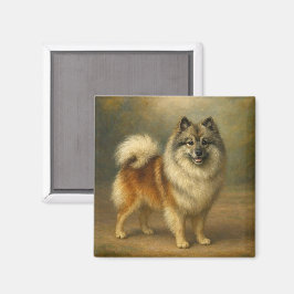 Imán Keeshond
