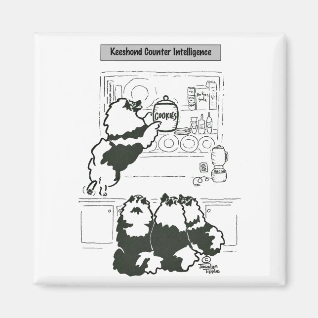 Imán Keeshond Counter Intelligence (Frente)