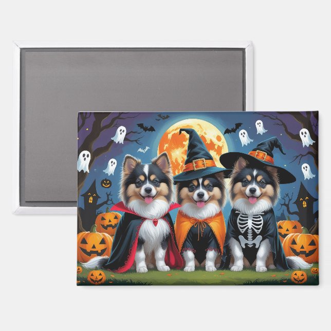 Imán Keeshond Dogs Calabaza Halloween Funny (Anverso/Reverso)