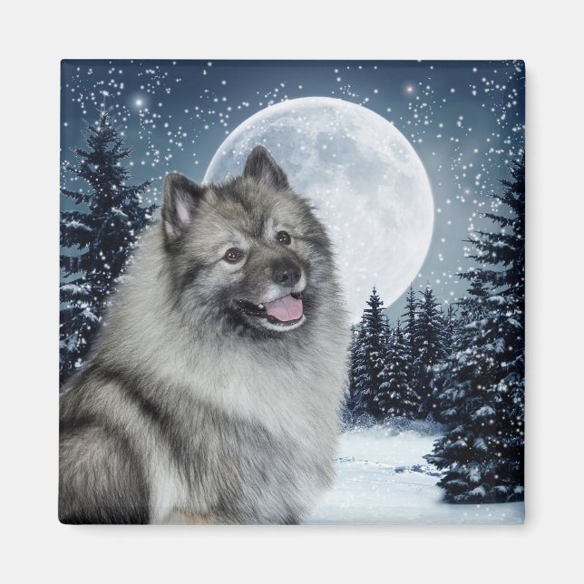 Imán Keeshond Magnet (Frente)