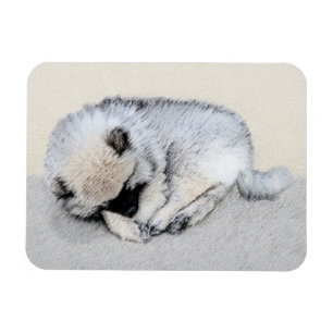Imán Keeshond Sleeping Pinting Pintura Original De Perr