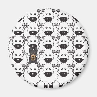 Imán Kelpie australiano en oveja