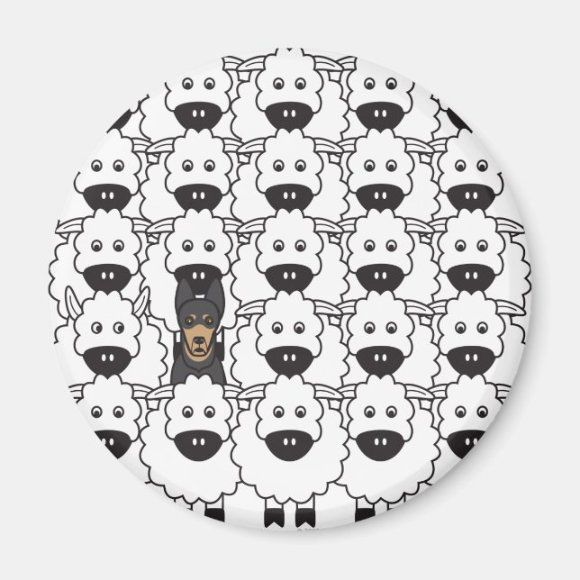 Imán Kelpie australiano en oveja (Frente)