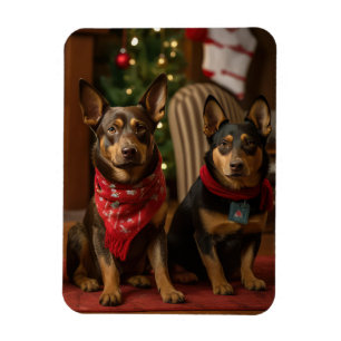 Imán Kelpie australiano junto a la chimenea de Navidad