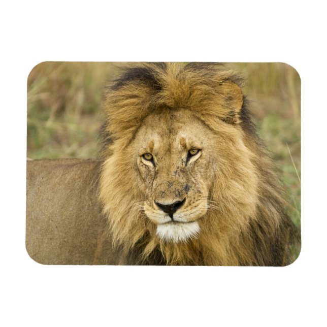 Imán Kenia Masai Mara (Horizontal)