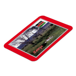 Imán Kenia - Panorama -