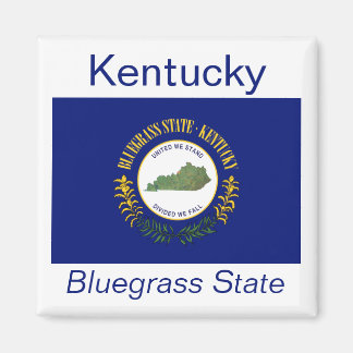 Imán Kentucky Banner Magnet