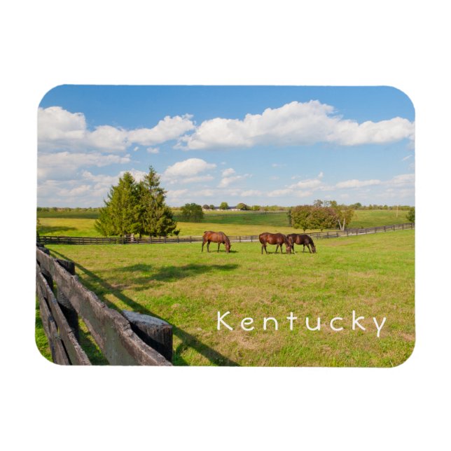 Imán Kentucky, caballos de la granja de caballos Photo  (Horizontal)